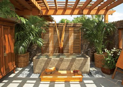 Shower Garden