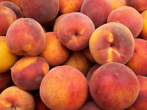 Peaches & Cream Slab Pie