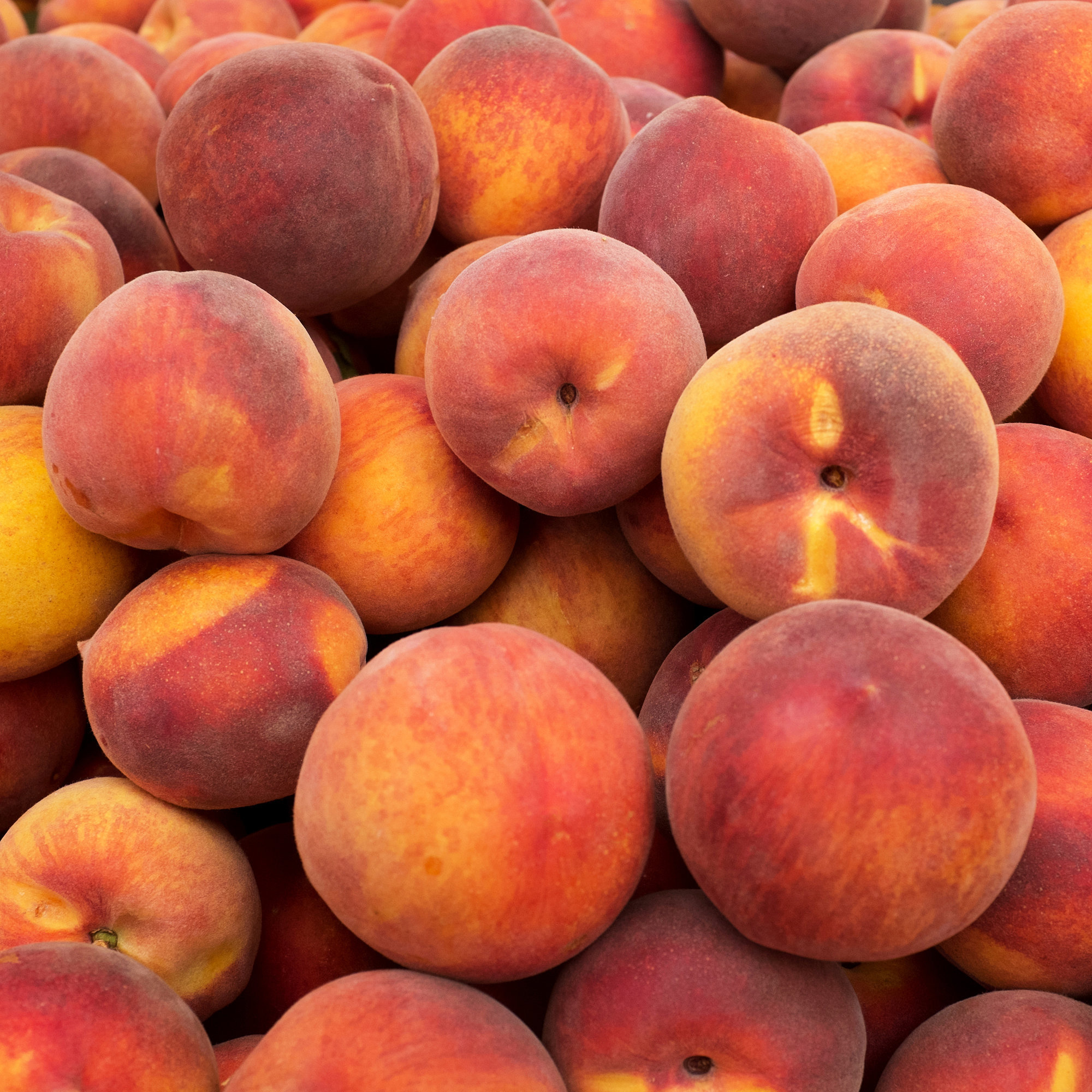 Peaches & Cream Slab Pie