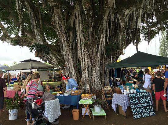 Hawi Farmers Market Big Island of Hawaii
