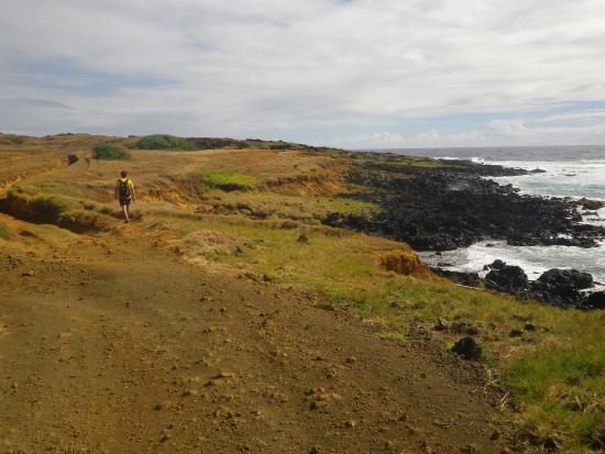 Top 10 Romantic Things to Do Big Island of Hawaii Papakolea Green Sand Beach Hike
