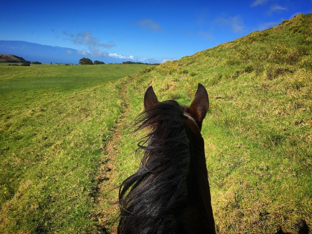 Romantic Horseback Ride Big Island of Hawaii