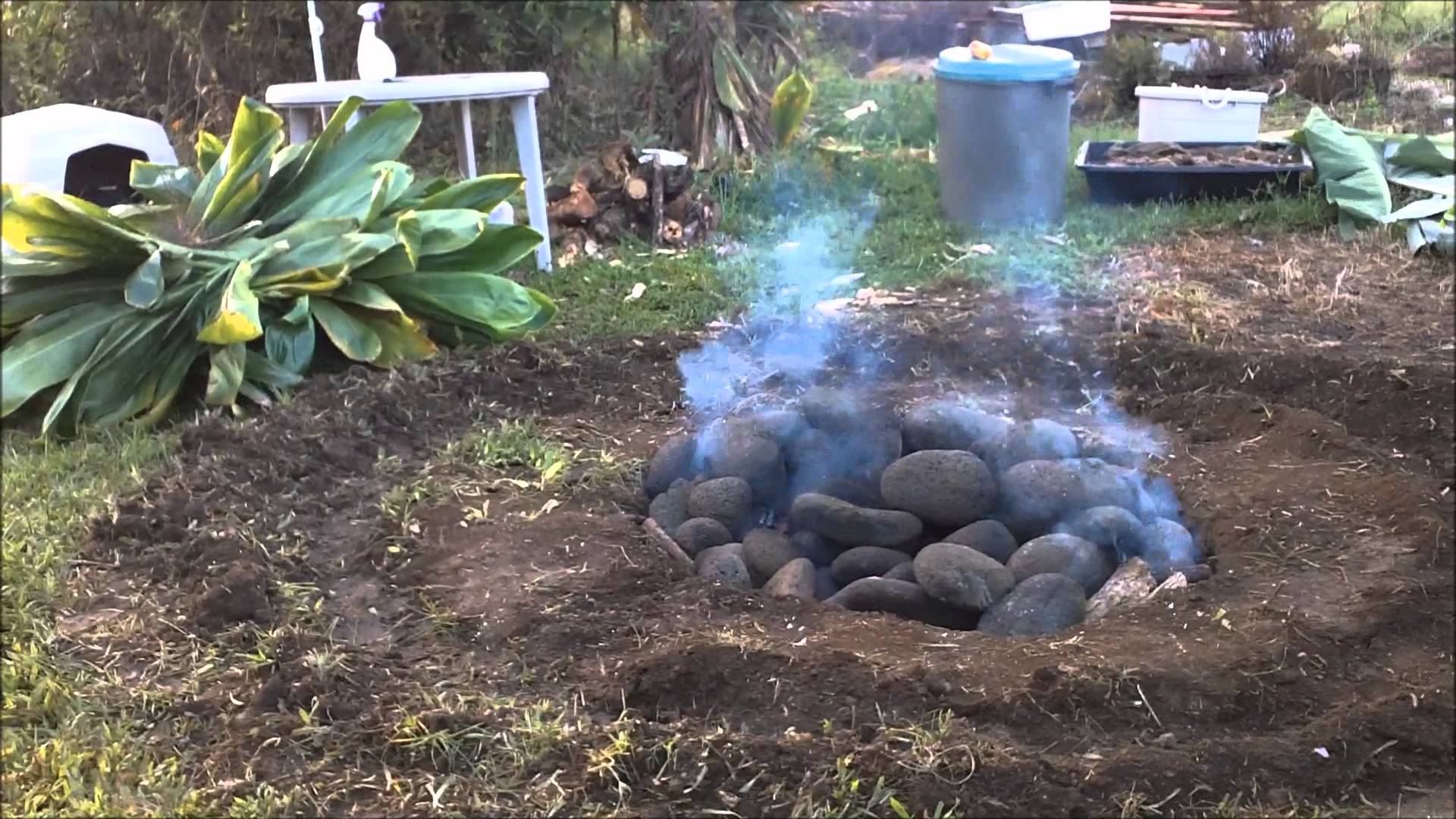 Slow Cooker Kalua Pork